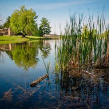 THE HISTORY OF THE PONDS BY MR. ED MILLER